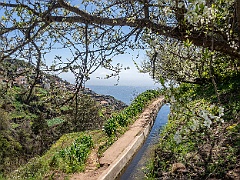 72 Madeira